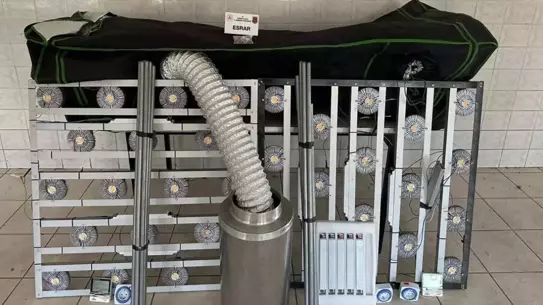 Tekirdağ'da Hint Keneviri Yetiştiren 3 Şüpheli Yakalandı