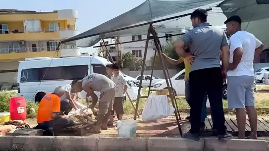 Adana'da Kurban Kesimi Kaosu