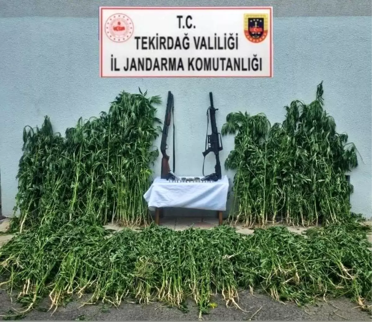 Tekirdağ'da Uyuşturucu Operasyonu