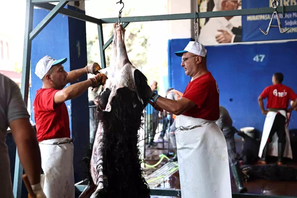 Antalya'da Ücretsiz Hijyenik Kurban Kesim Hizmeti
