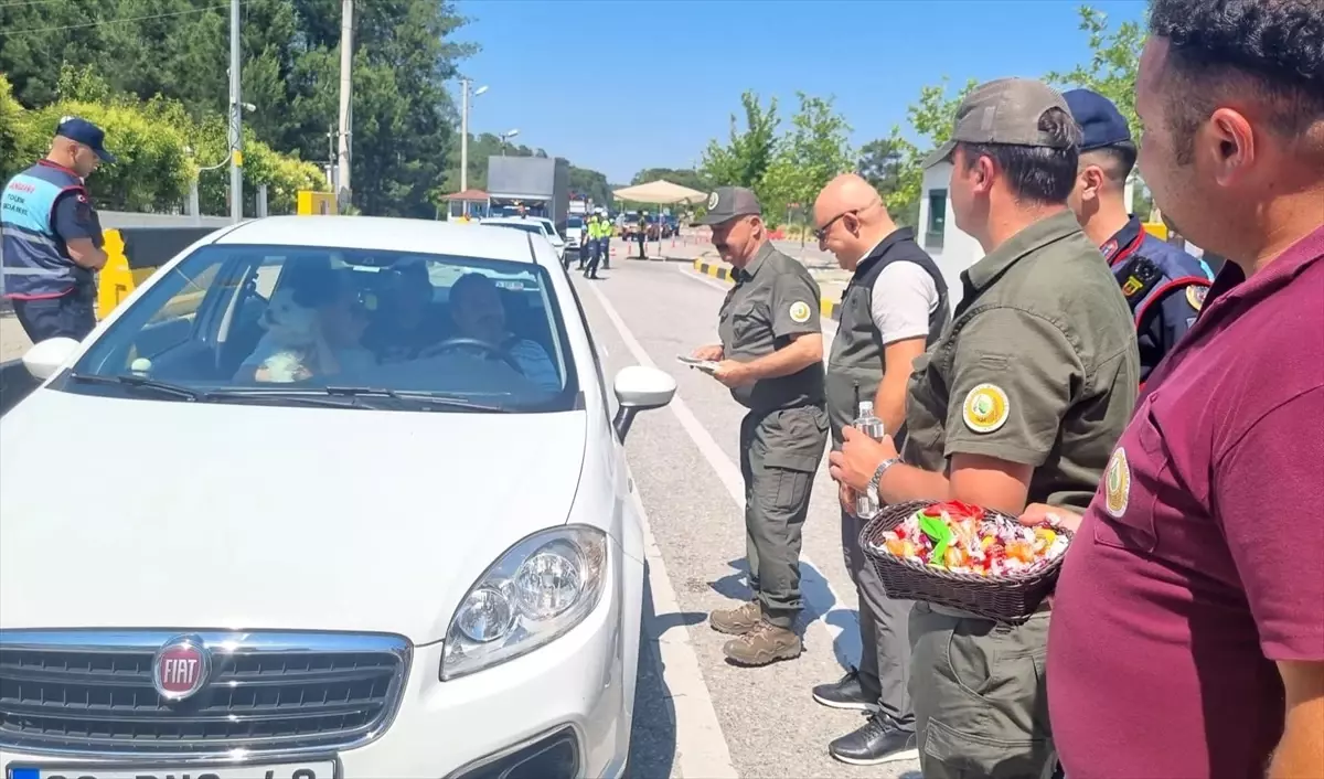 Muğla'da Orman Yangınlarına Karşı Uyarı