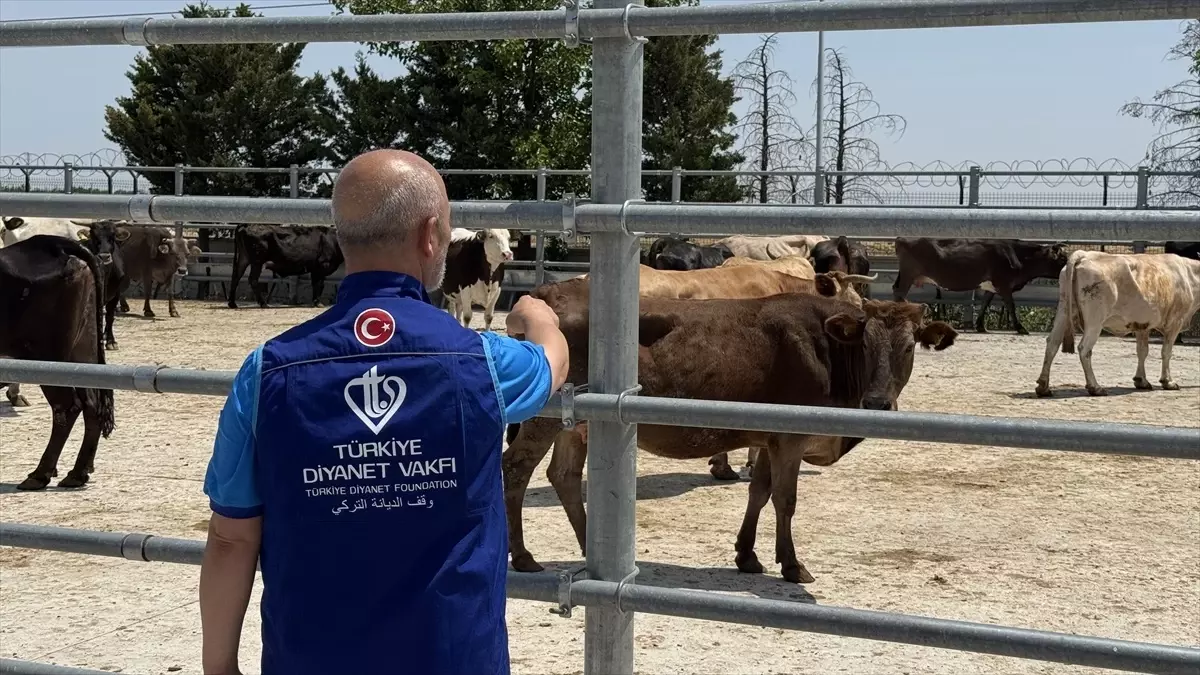 Kurban Etleri İhtiyaç Sahiplerine Dağıtılacak