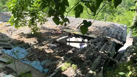 Kaçan Boğa Garaj Çatısından Düştü