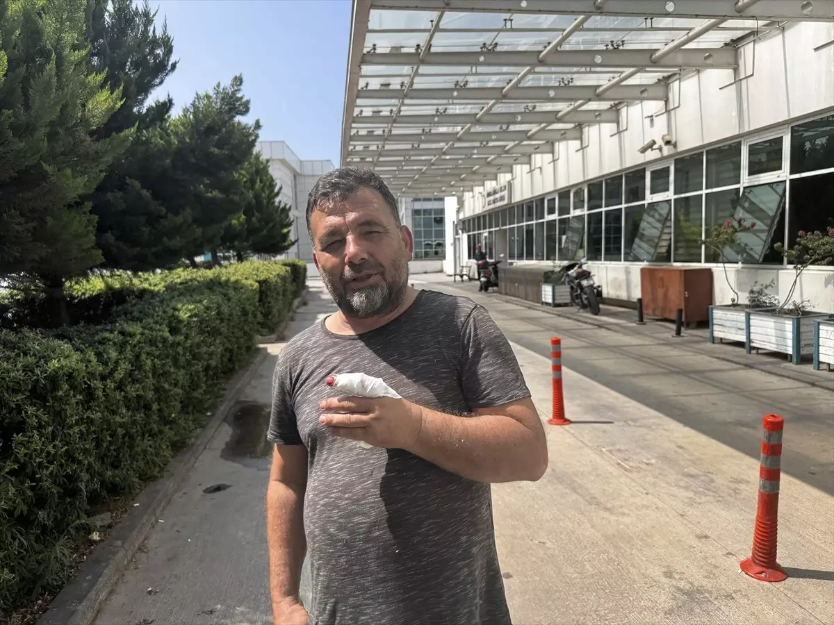 Kurban Kesiminde Yaralanmalar Artıyor