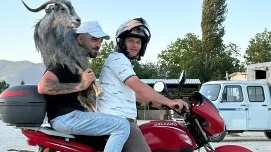 Kurban Pazarında kaçan keçi motosikletle geri getirildi