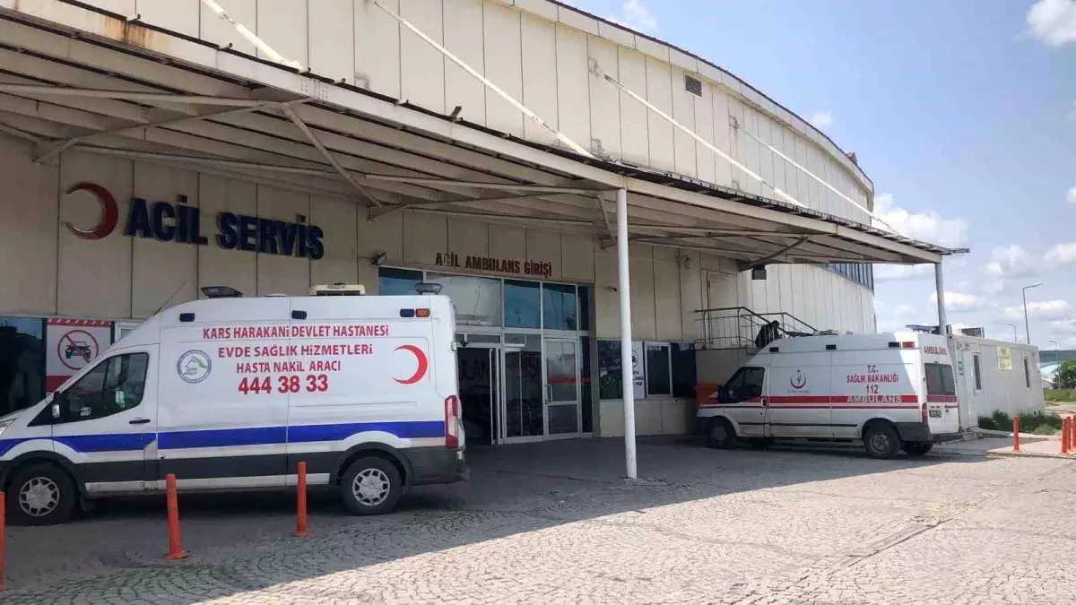 Kars'ta Acemi Kasaplar Kendilerini Yaraladı