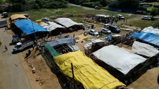 Kurban Bayramı'nda Kaçak Kesim Denetimi