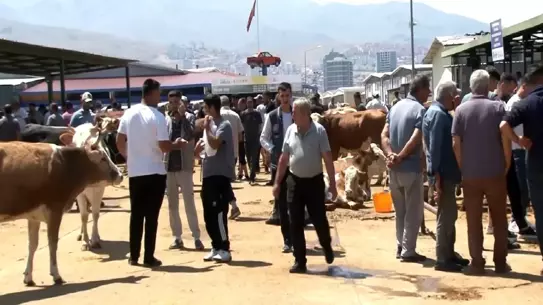 Malatya'da Kurban Pazarı Yoğunluğu