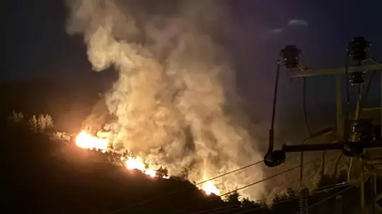 Aydın'da Orman Yangını