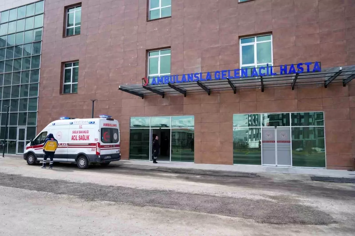 Kurban Bayramı'nda 73 Acemi Kasap Yaralandı