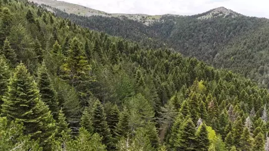 Kazdağları'nın Tarihi ve Doğal Zenginliği