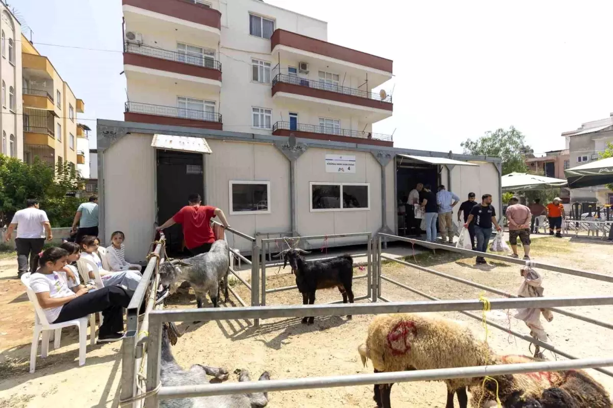 Mersin'de Kurban Bayramı Kesim Hizmetleri