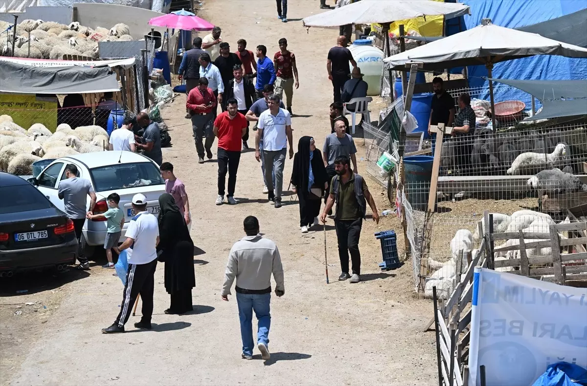 Kurban Bayramı'nda Kesim Yoğunluğu