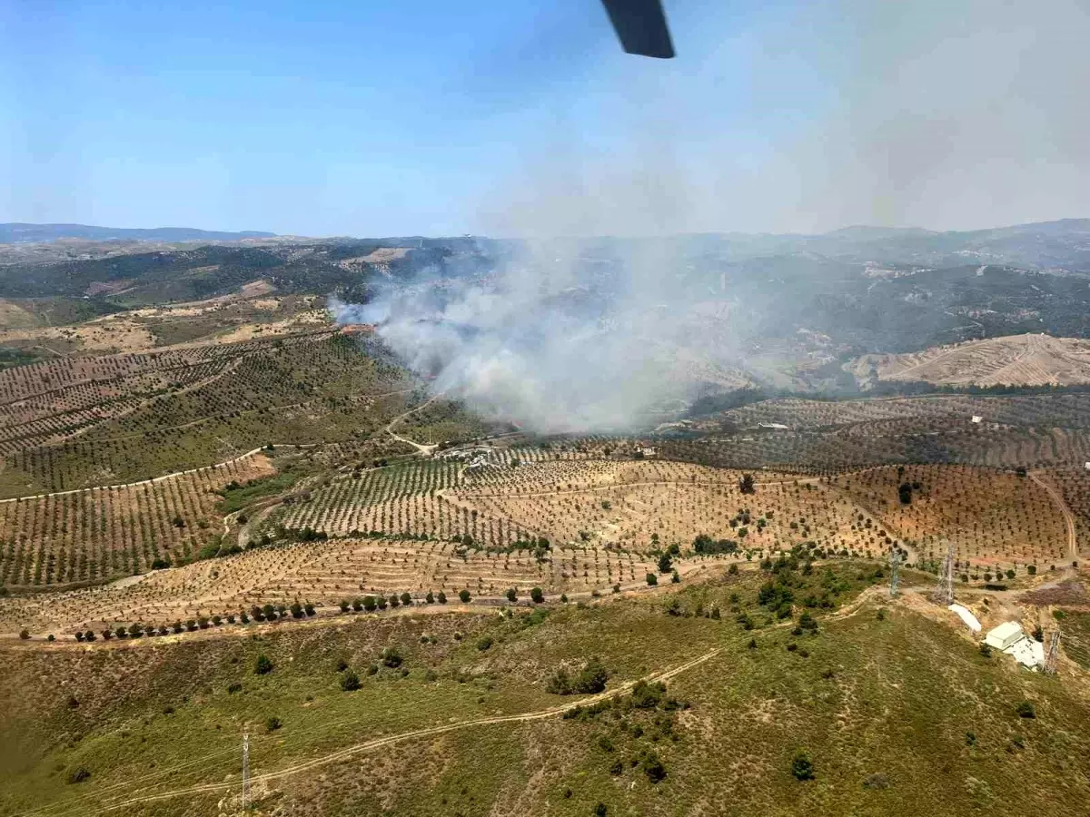 Seferihisar'da Orman Yangınına Müdahale Başladı