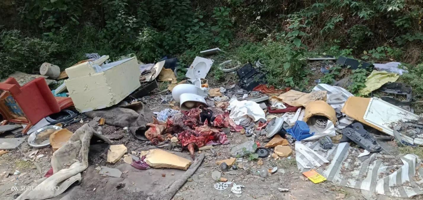 Kurban Atıkları Ormana Atıldı