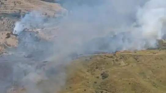 Seferihisar'da Yangın: Havadan ve Karadan Mücadele