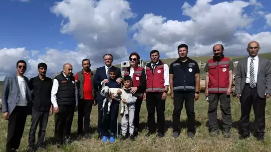 Koyunculuk Projesi ile Çiftçilere Destek