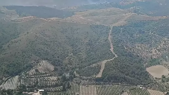 Seferihisar'daki Yangın Kontrol Altına Alındı