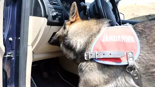 Aksaray'da Narkotik Köpeği Uyuşturucu Buldu