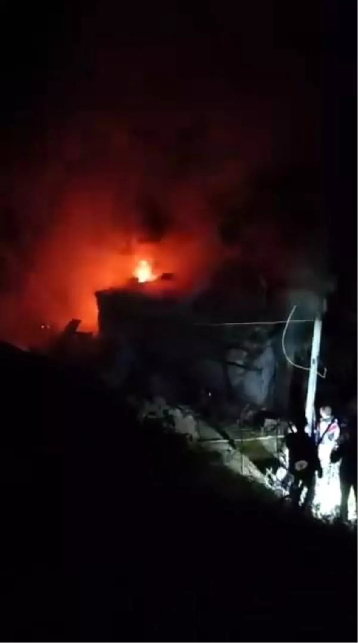 Bingöl'de Orman Yangını Eve Sıçradı
