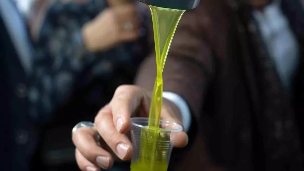 Zeytinyağı ile Yaz Diyeti