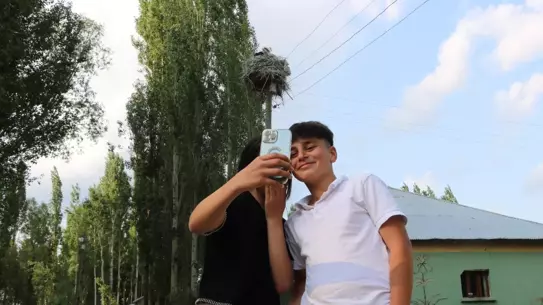 Leylekler Köydeki Yuva Geleneğini Sürdürüyor