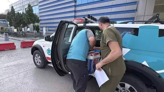 Ayşe Karaçağa'nın organları 3 hastaya umut oldu