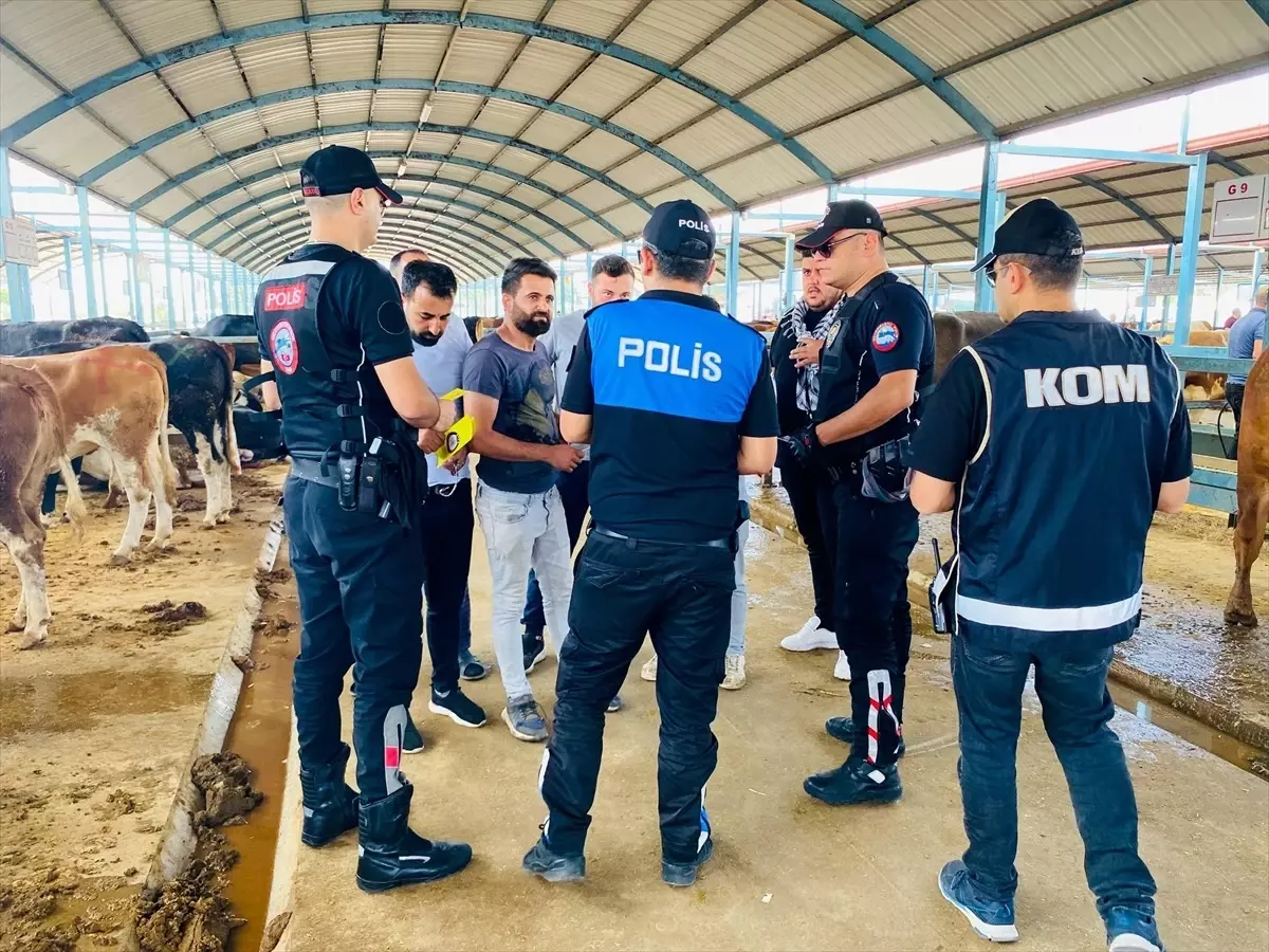 Kurban Pazarı'nda Dolandırıcılık Denetimi