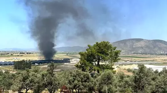Muğla'da Balık Üretim Tesisinde Yangın
