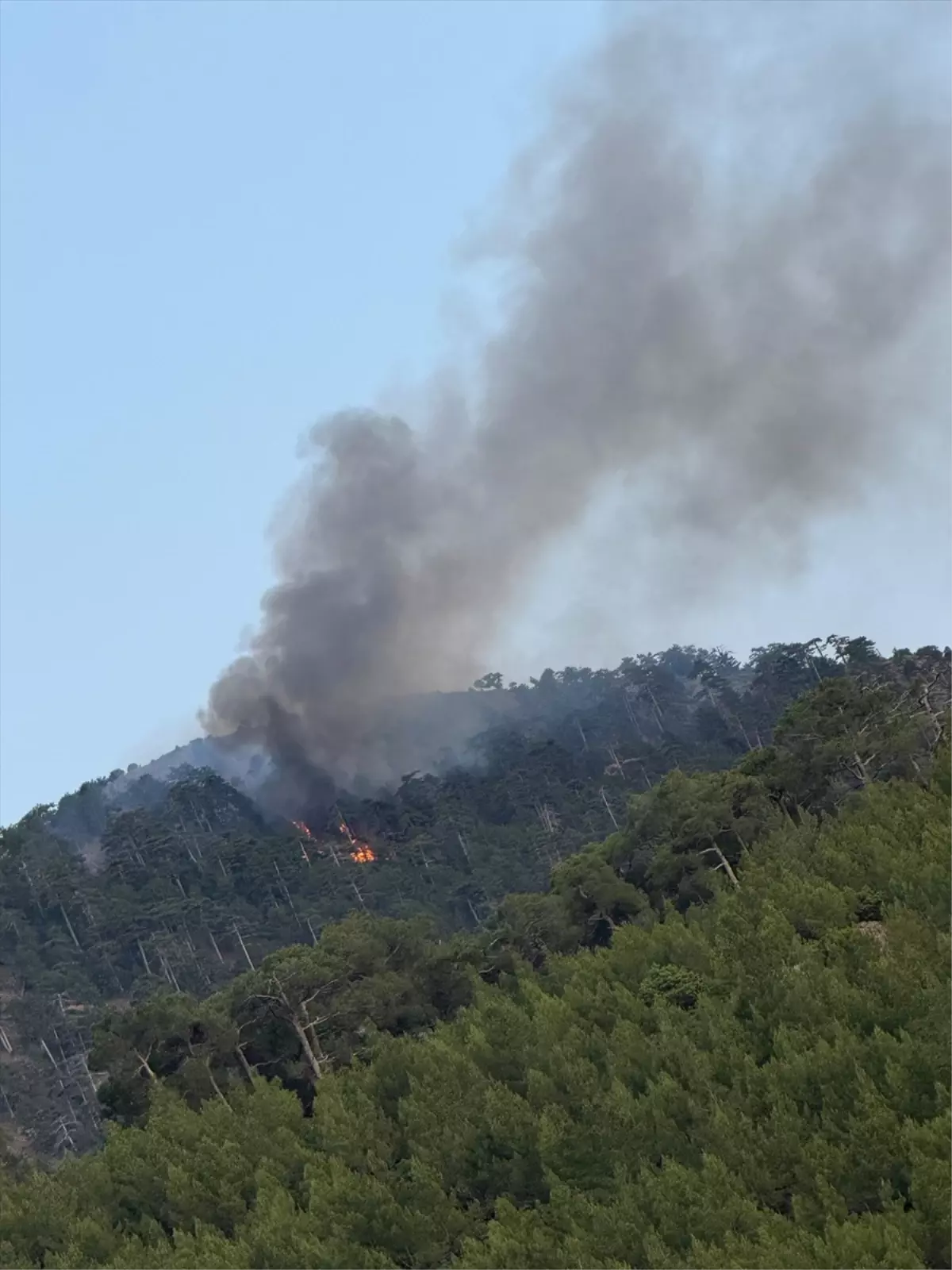 Beyağaç'ta Orman Yangını Söndürüldü