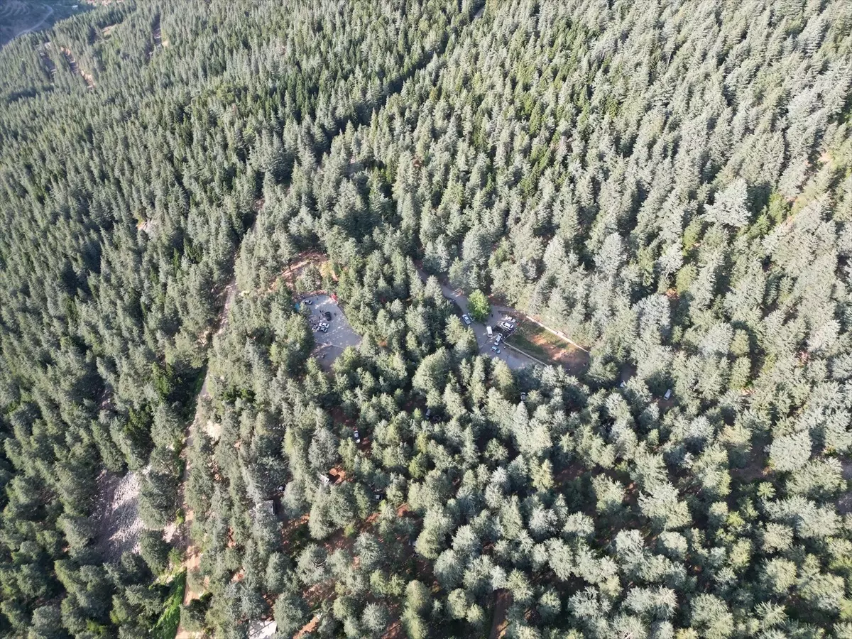 Yavşan Yaylası Bayramda Ziyaretçi Akınına Uğradı