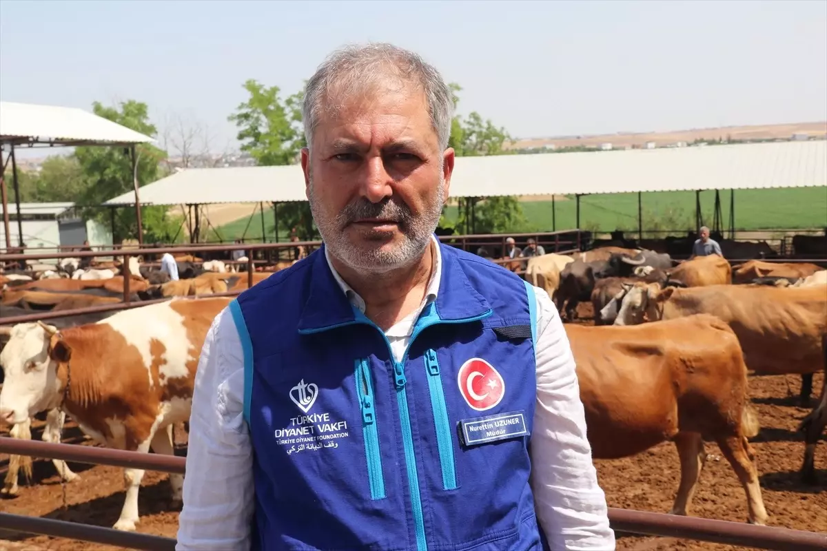 TDV'den İhtiyaç Sahiplerine Kurban Eti Dağıtımı