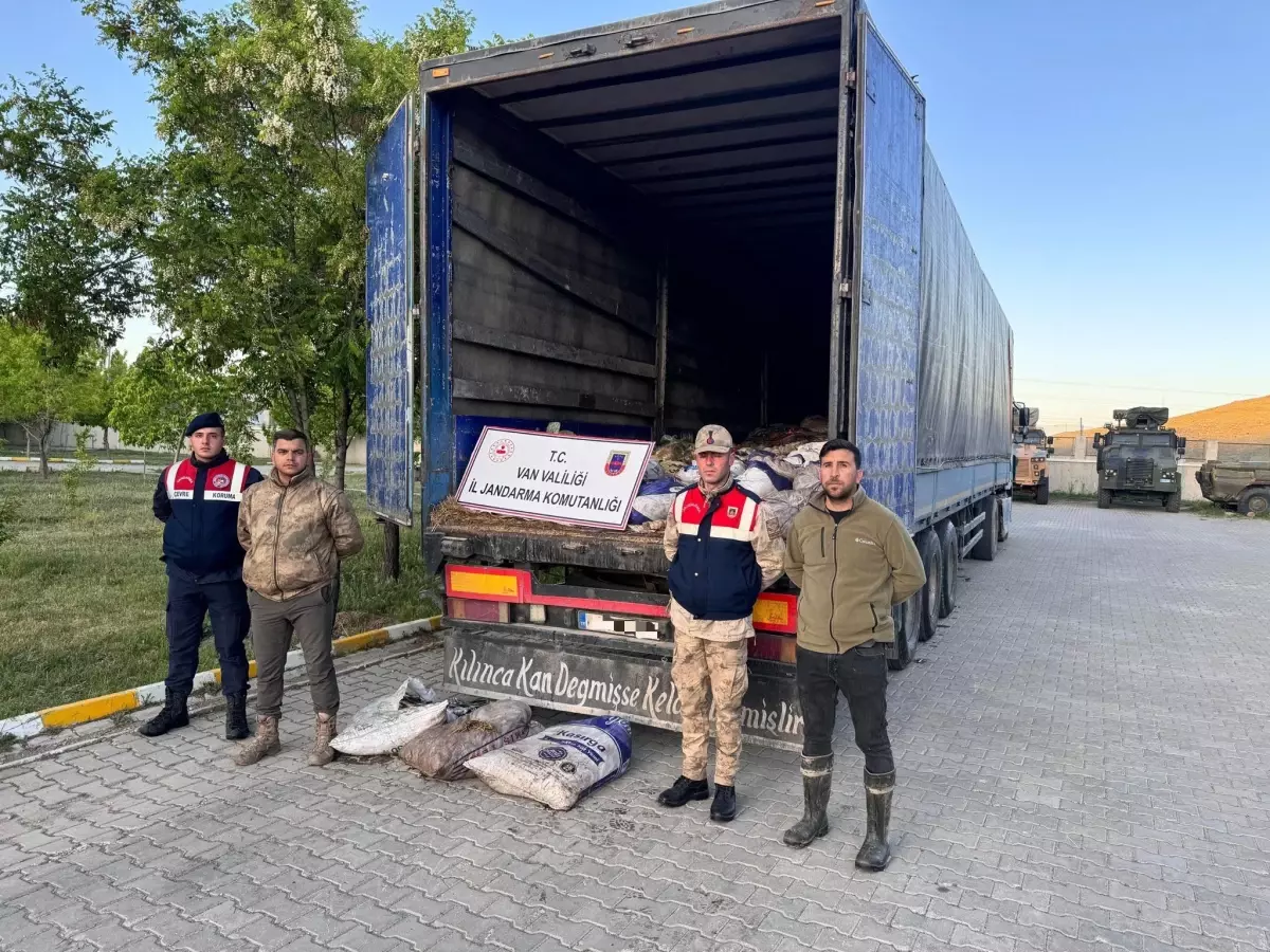 Muradiye'de Kaçak Avcılar 19 Ton İnci Kefali Ele Geçirildi