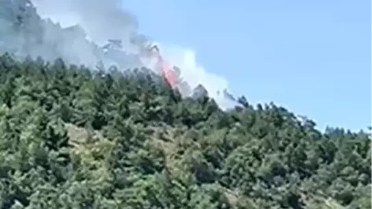 Kızılcahamam'da Orman Yangını
