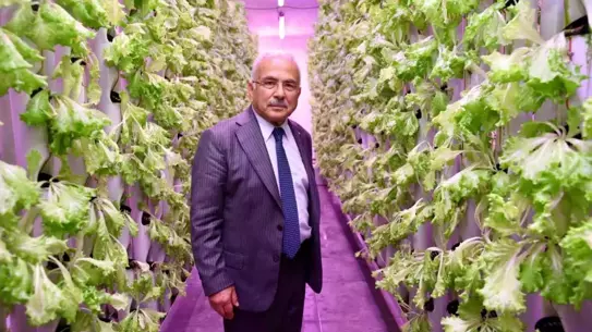 Ordu'da Topraksız Tarım ile Su Tasarrufu Sağlanıyor