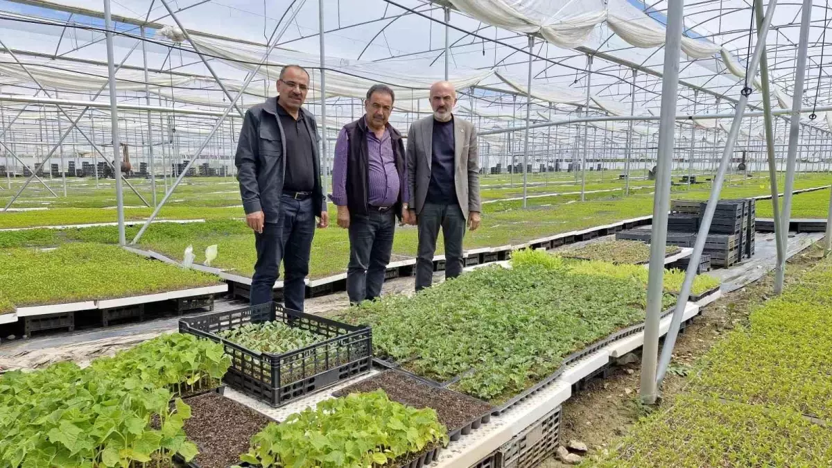Karaman'da 5 Milyon Fide Üreten Çiftçi