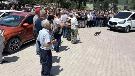 Çemişgezek'te Kaza: 10 Yaşındaki Tuna ve Anneannesi Hayatını Kaybetti