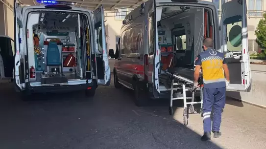 Siverek'te Hayvan Otlatma Kavgası: 6 Yaralı