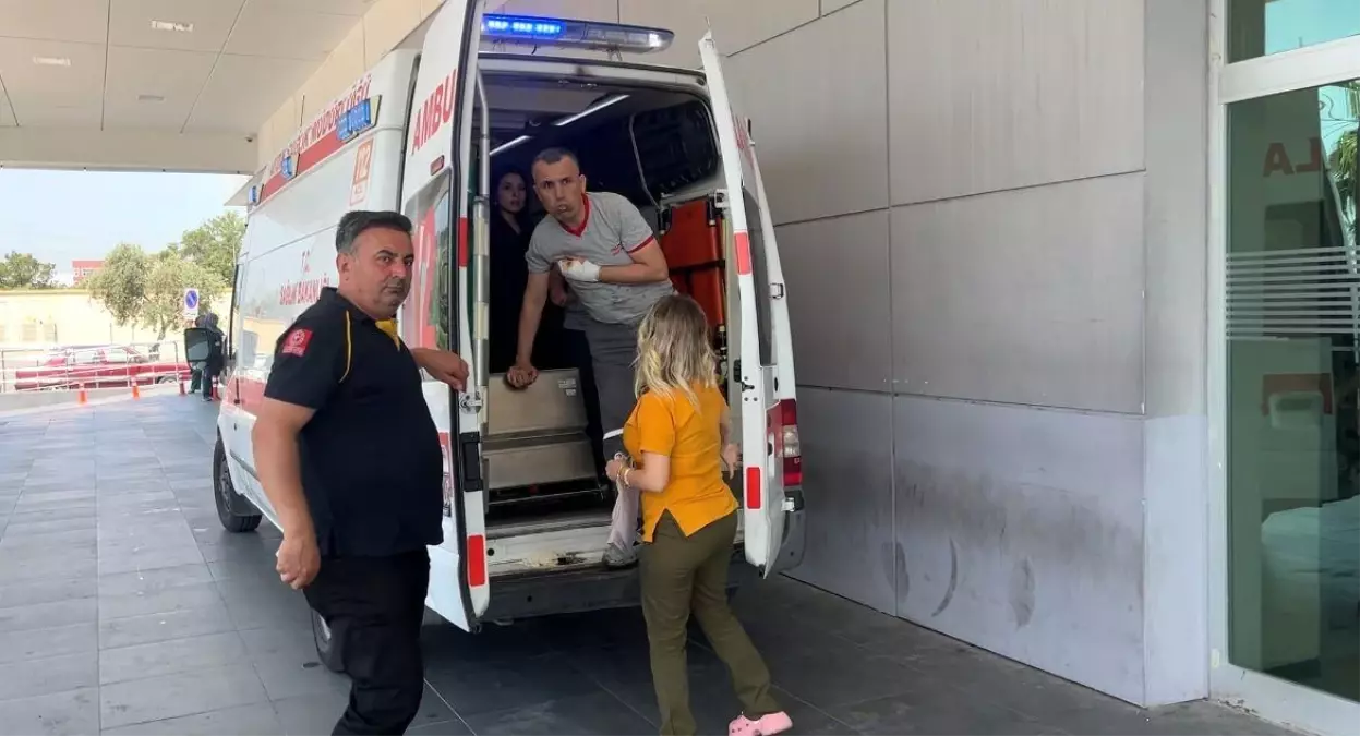 Aydın'da Kurban Bayramı'nda 460 Acemi Kasap Hastanelik Oldu
