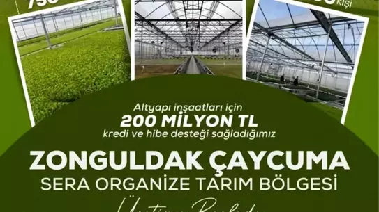 Çaycuma Sera Organize Tarım Bölgesi Üretime Geçti