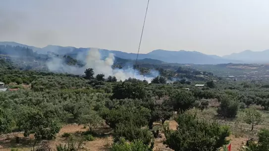 Turgutlu'da Yangın: 300 Dönüm Zarar Gördü